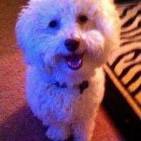 NWR: Fur Babies!
