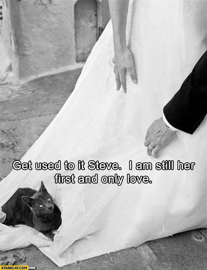 Let's see those wedding memes!
