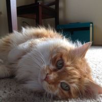 KWR-sharing some cuteness today.