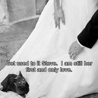 Let's see those wedding memes!