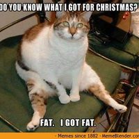 I need some meme love