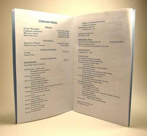 help with creating programs on vista print. Hayley or anyone pour favor :)