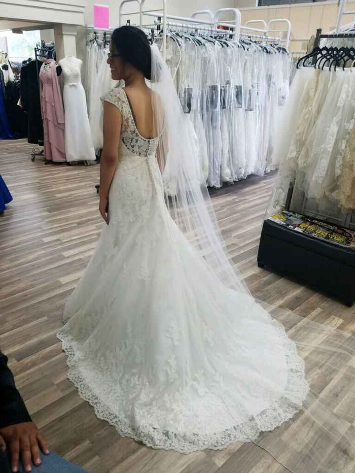 What do you think of this dress? - 2