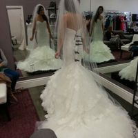 I said yes to the dress!..now for some opinions please?