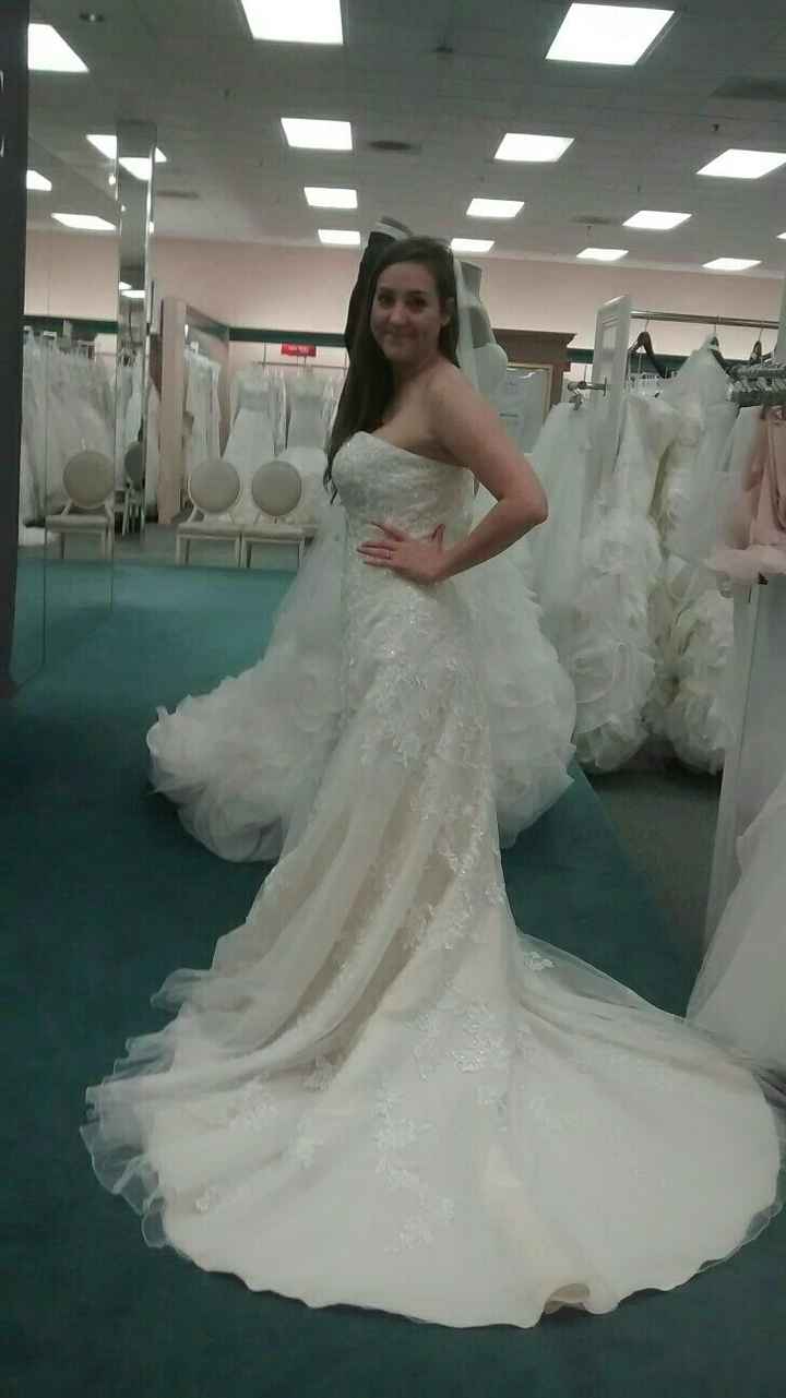 I just have to share...