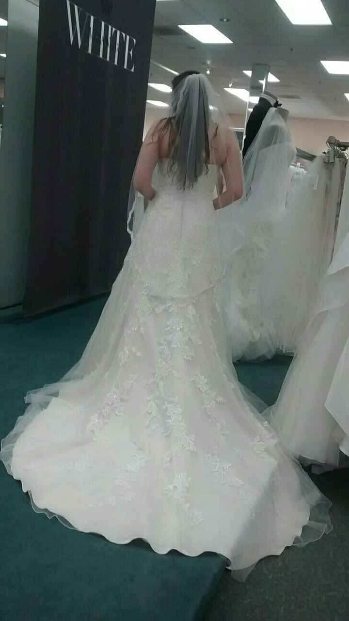 I just have to share...