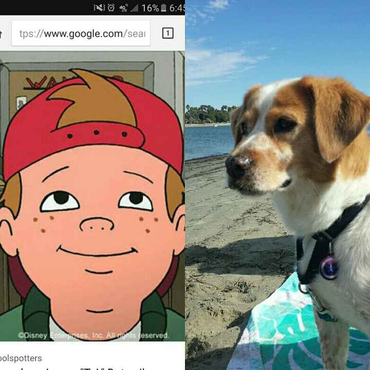 NWR: Pet Owners...Can we play a fun game? :D