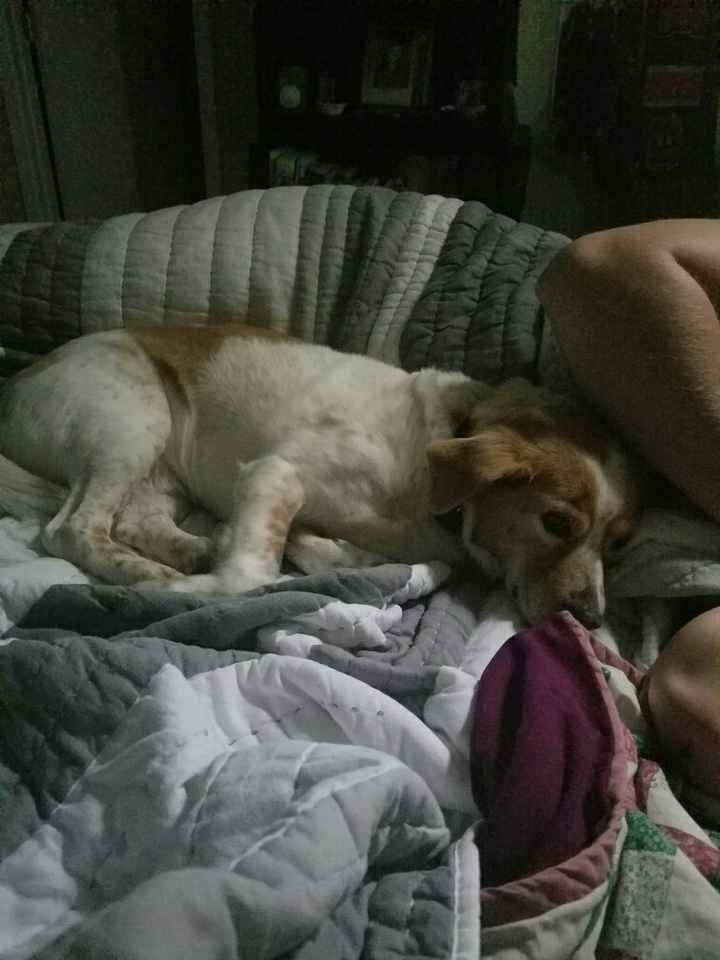 THIS....I need to rant! (could trigger some)