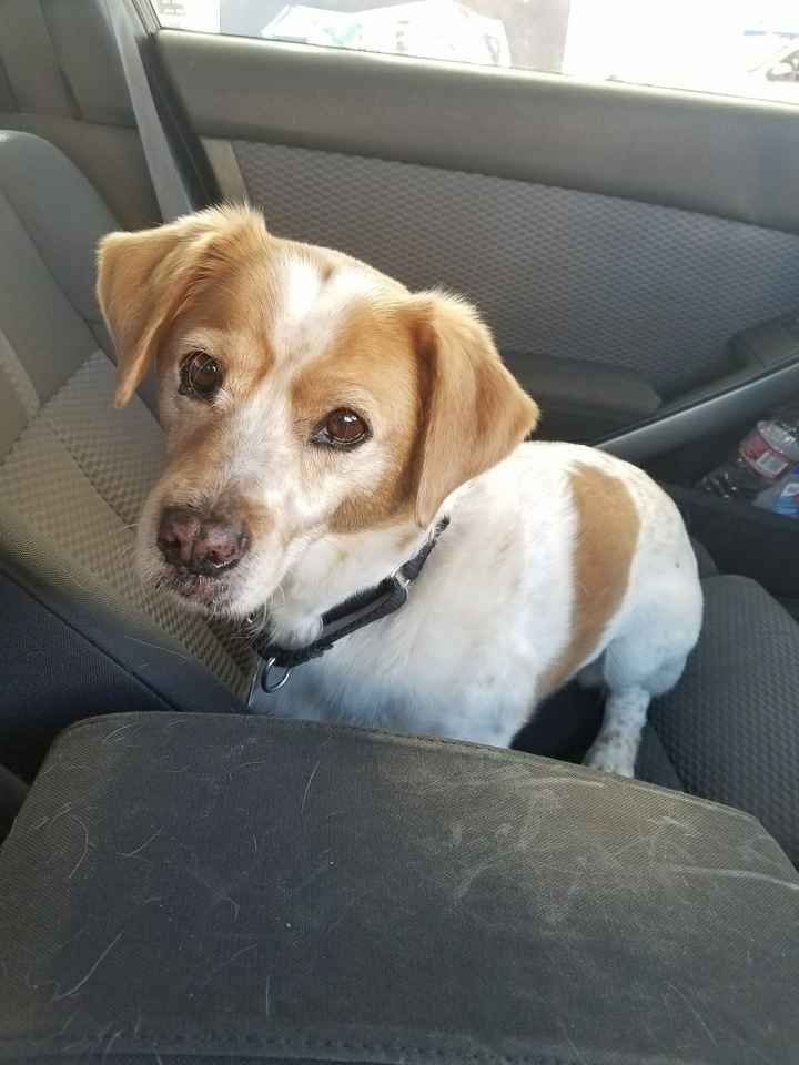 NWR: Puppies and fur babies!