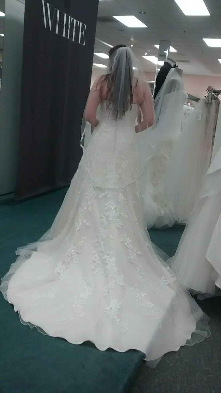 Davids bridal wedding dresses....