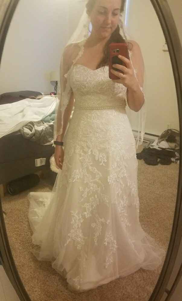 To veil or not to veil.