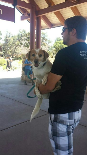 NWR: furbabies