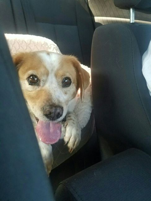 Nwr: my pup