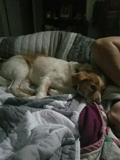 THIS....I need to rant! (could trigger some)