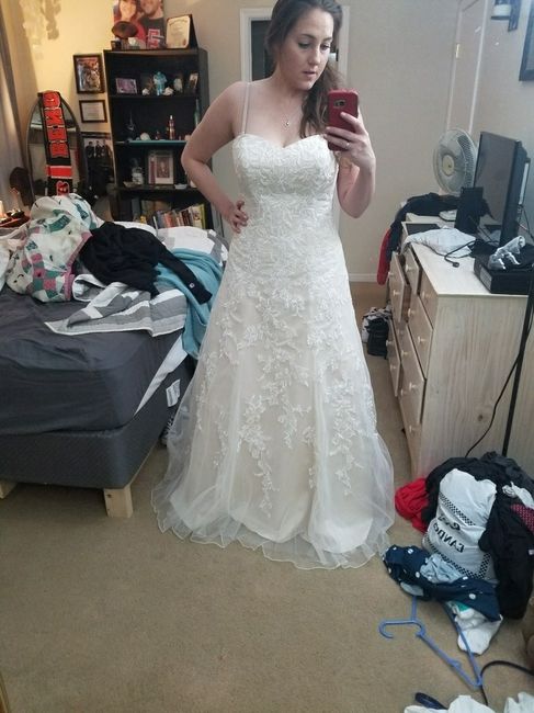 Davids Bridal Dresses!