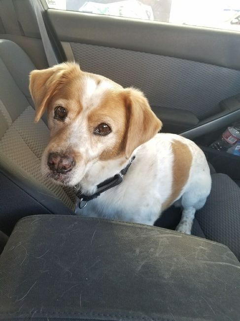 NWR: Puppies and fur babies!