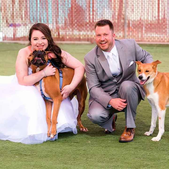 Incorporating Pets in Wedding