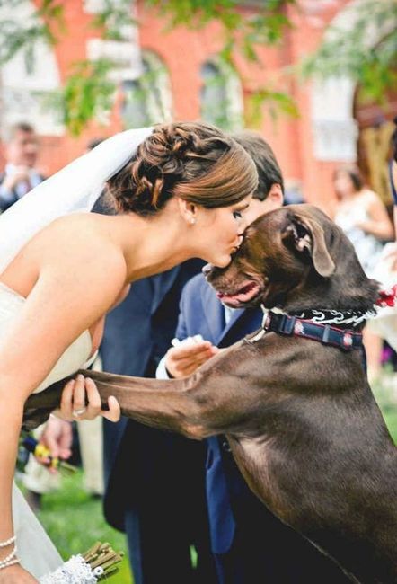 Spinoff: What one inspiration wedding photo do you want to recreate/attempt?