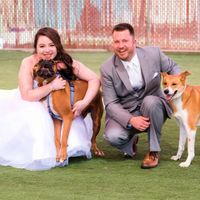 Incorporating Pets in Wedding