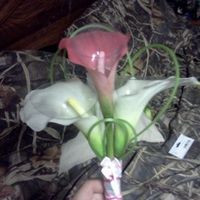 Lets see your bouquets