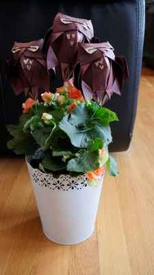 Centerpieces--I wanna see 'um!