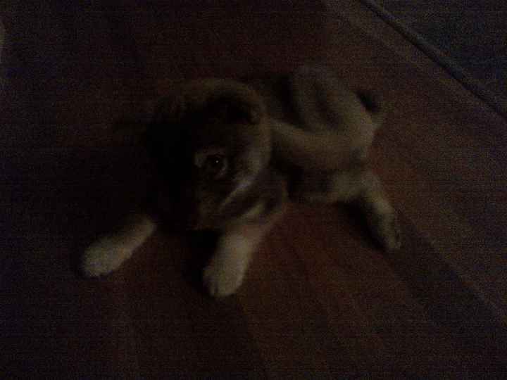 NWR Show me your tree!