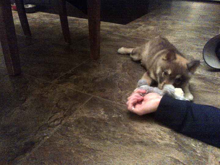 NWR Show me your tree!