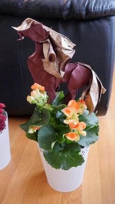 Sick of looking at centerpieces!