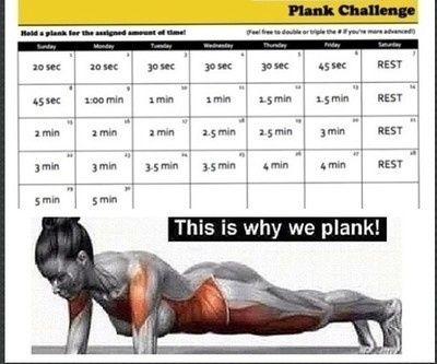 KWR: plank challenge