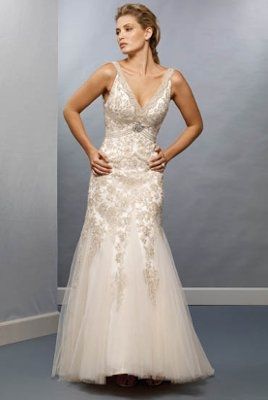 I found my dream wedding dress...