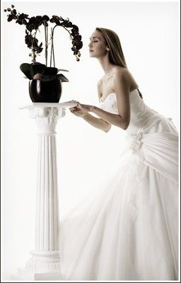 Wednesday fun... dress models... what the eff?