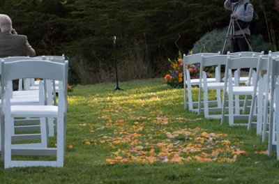 Analy question about your flowers