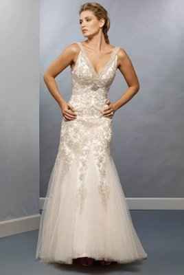 I found my dream wedding dress...
