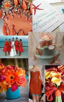Coral & Aqua