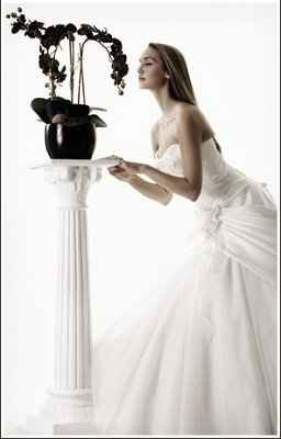Wednesday fun... dress models... what the eff?