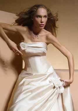 Wednesday fun... dress models... what the eff?