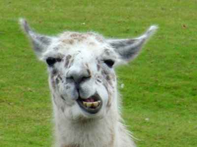 NWR Doesn't it feel like....
