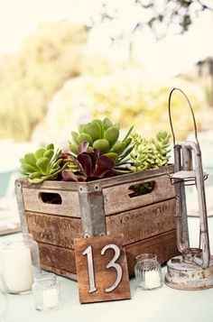 Spam me With Centerpiece Ideas!