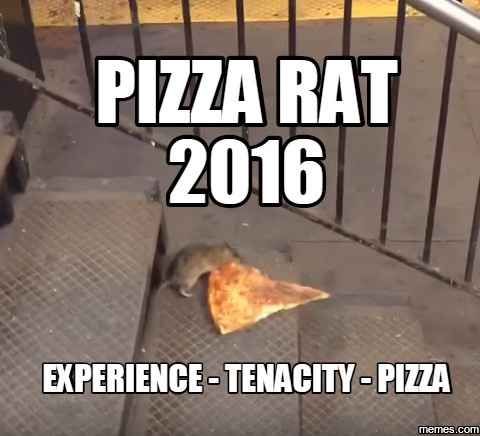 NWR: If you had to vote today, who would you vote for?