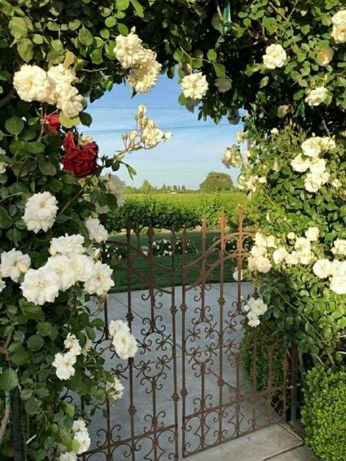 Let's talk reception entrances! 3