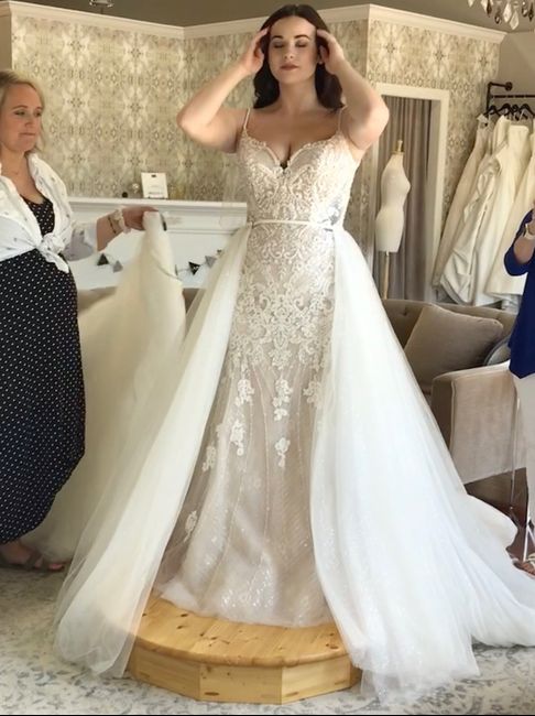 Please ease my mind! Dress Color 2