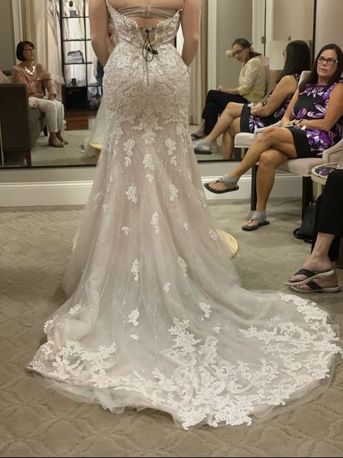 Please ease my mind! Dress Color 3