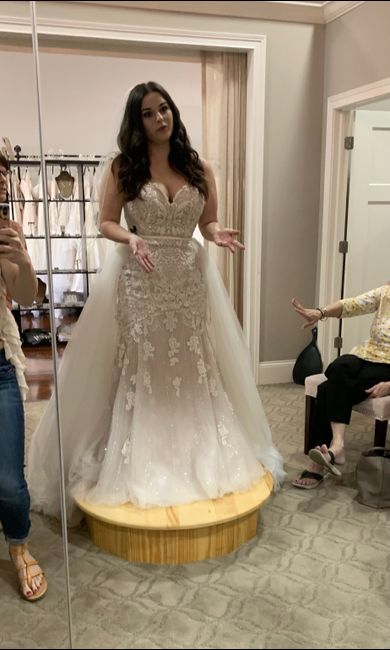 Please ease my mind! Dress Color 7