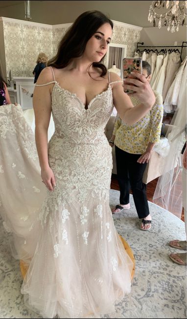 Please ease my mind! Dress Color 12