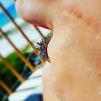 So sparkly....another ring thread.