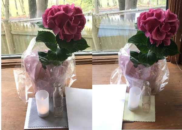 Help give me opinions on tablecloth color -- update pg 2