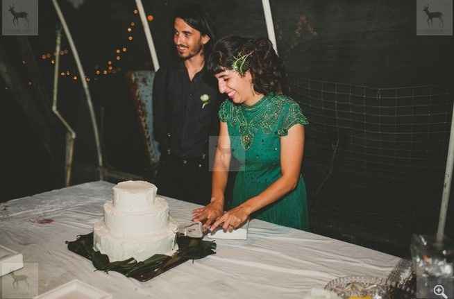 Pictures from our wedding! Rustic, Organic Farm, Florida