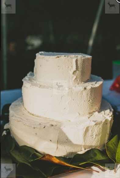 Pictures from our wedding! Rustic, Organic Farm, Florida