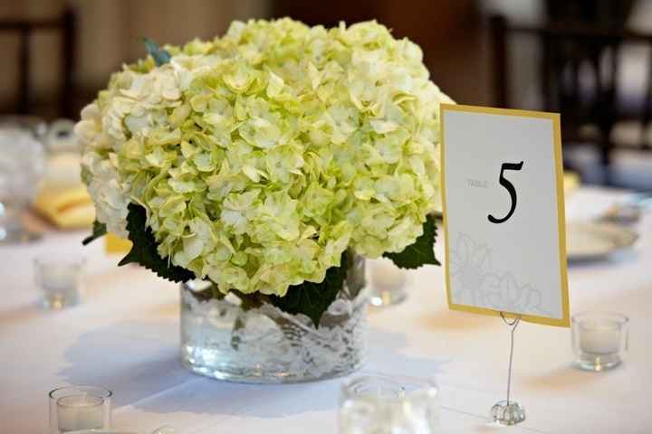 Best Color Centerpieces for my yellow walled venue? White/Yellow or something else?
