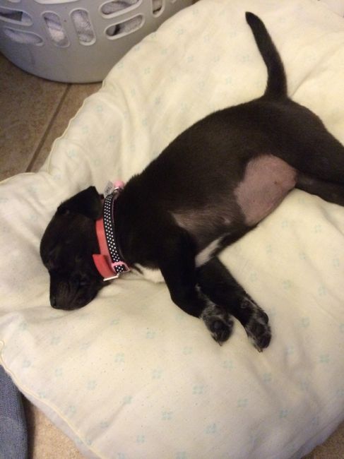 NWR: FH and I adopted a new baby !!!